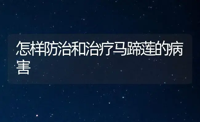 怎样防治和治疗马蹄莲的病害 | 家庭养花