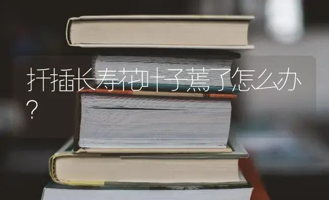 扦插长寿花叶子蔫了怎么办？ | 多肉养殖