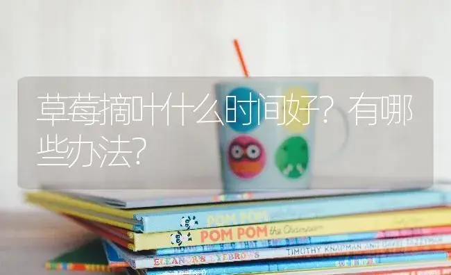 草莓摘叶什么时间好？有哪些办法？ | 果木种植