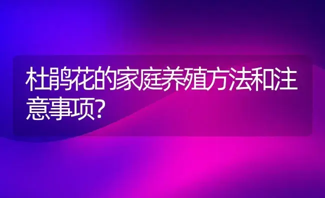 杜鹃花的家庭养殖方法和注意事项？ | 绿植常识