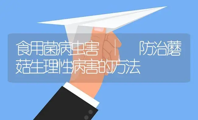 防治蘑菇生理性病害的方法 | 菌菇种植