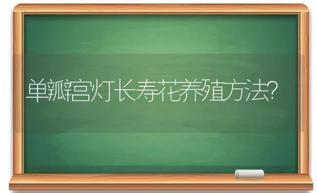 单瓣宫灯长寿花养殖方法？ | 多肉养殖