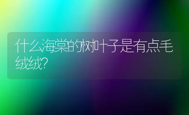 什么海棠的树叶子是有点毛绒绒？ | 绿植常识