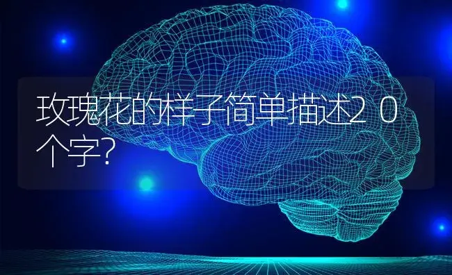 玫瑰花的样子简单描述20个字？ | 绿植常识