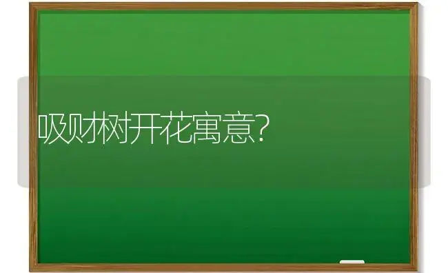 吸财树开花寓意？ | 多肉养殖