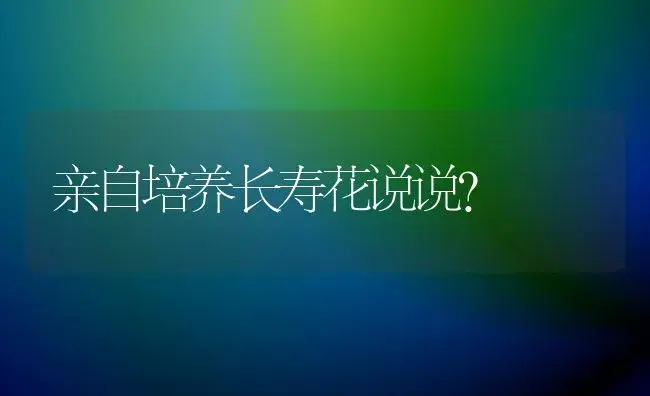 亲自培养长寿花说说？ | 多肉养殖