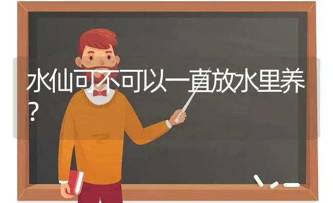 水仙可不可以一直放水里养？ | 绿植常识