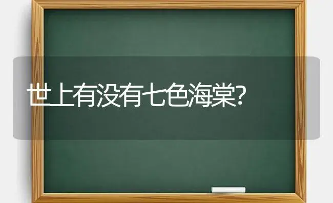 世上有没有七色海棠？ | 绿植常识