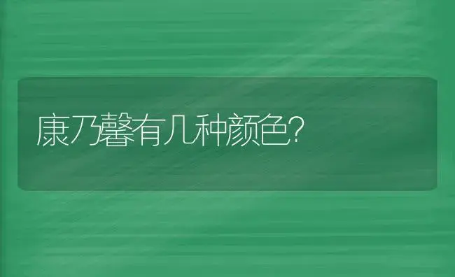 康乃馨有几种颜色？ | 绿植常识