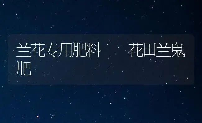 兰花专用肥料――花田兰鬼肥 | 家庭养花