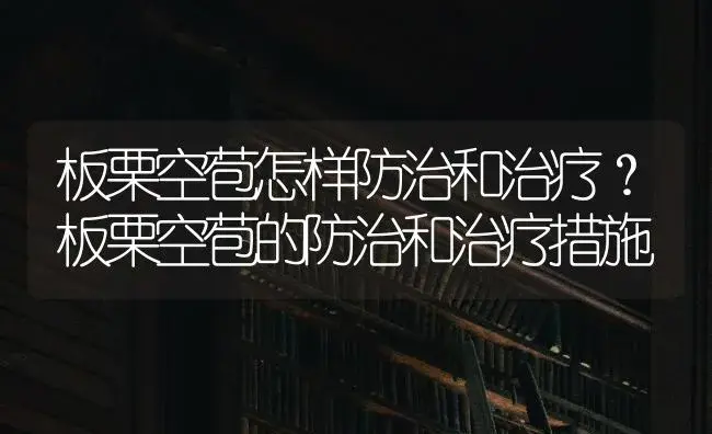 板栗空苞怎样防治和治疗？板栗空苞的防治和治疗措施 | 果木种植