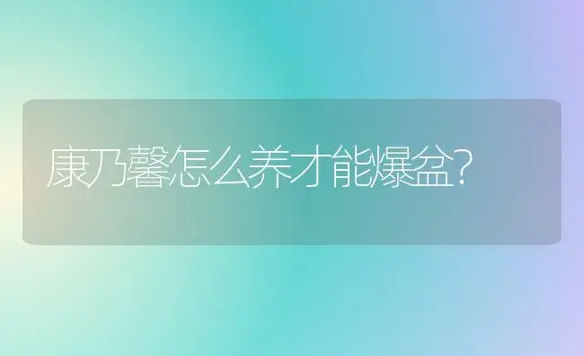 康乃馨怎么养才能爆盆？ | 绿植常识