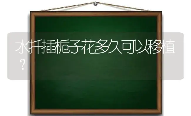 水扦插栀子花多久可以移植？ | 绿植常识