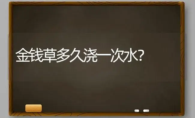 金钱草多久浇一次水？ | 家庭养花