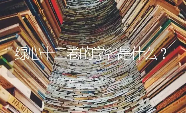 绿心十二卷的学名是什么？ | 多肉养殖