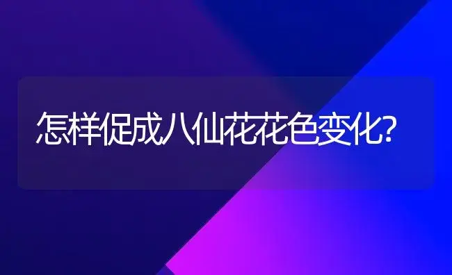 怎样促成八仙花花色变化？ | 家庭养花