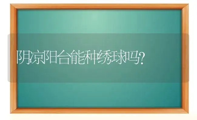 阴凉阳台能种绣球吗？ | 绿植常识