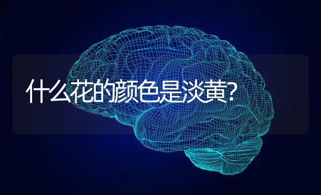 什么花的颜色是淡黄？ | 多肉养殖