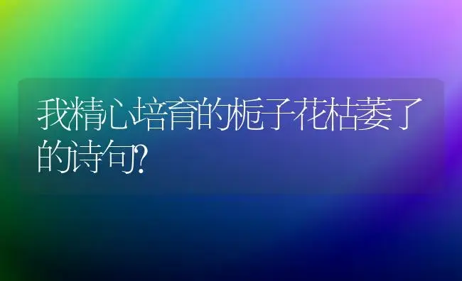 我精心培育的栀子花枯萎了的诗句？ | 绿植常识