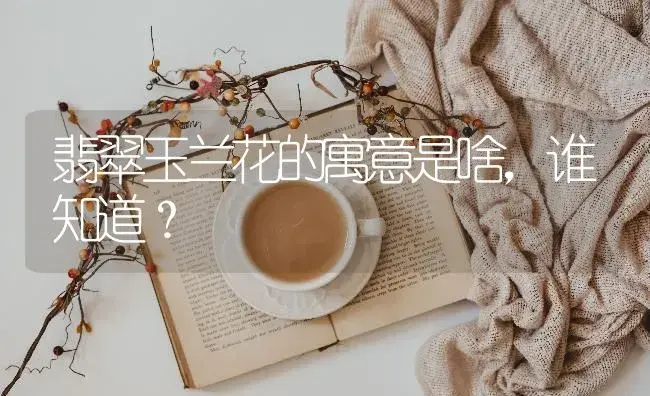 翡翠玉兰花的寓意是啥，谁知道？ | 绿植常识