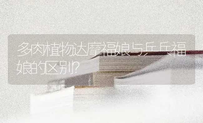 多肉植物达摩福娘与乒乓福娘的区别？ | 多肉养殖
