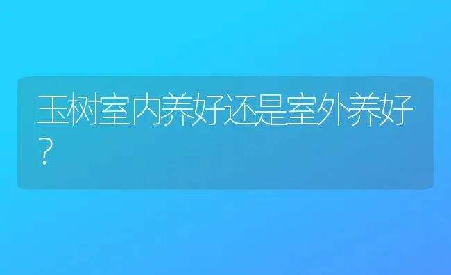 玉树室内养好还是室外养好？ | 多肉养殖