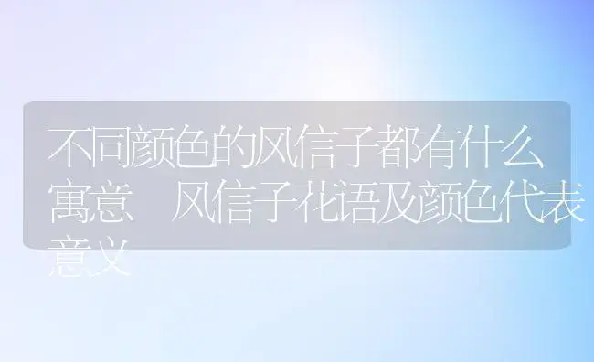 不同颜色的风信子都有什么寓意 风信子花语及颜色代表意义 | 绿植寓意