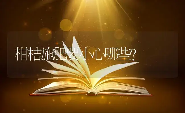 柑桔施肥要小心哪些？ | 果木种植