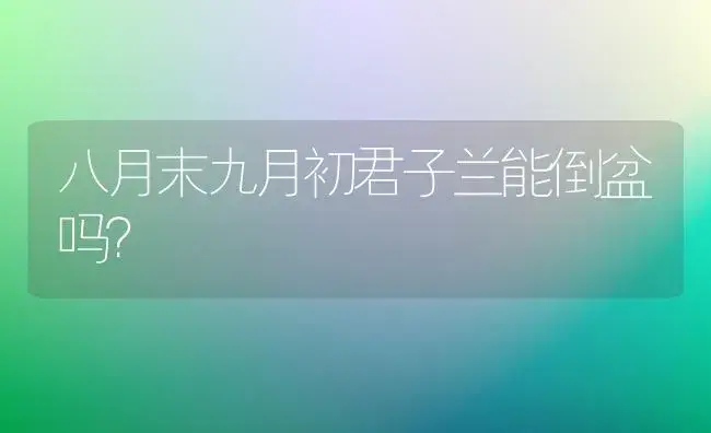 八月末九月初君子兰能倒盆吗？ | 绿植常识