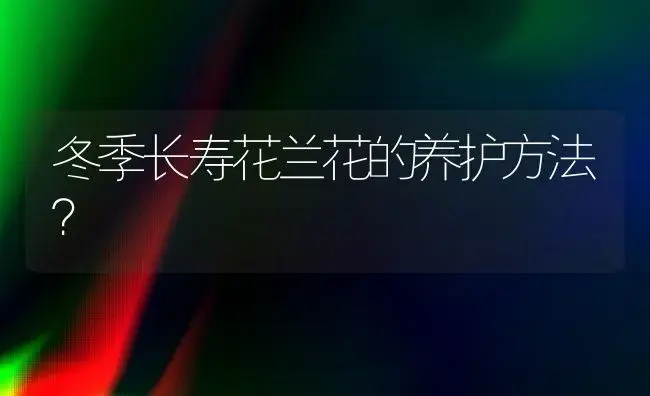 冬季长寿花兰花的养护方法？ | 多肉养殖