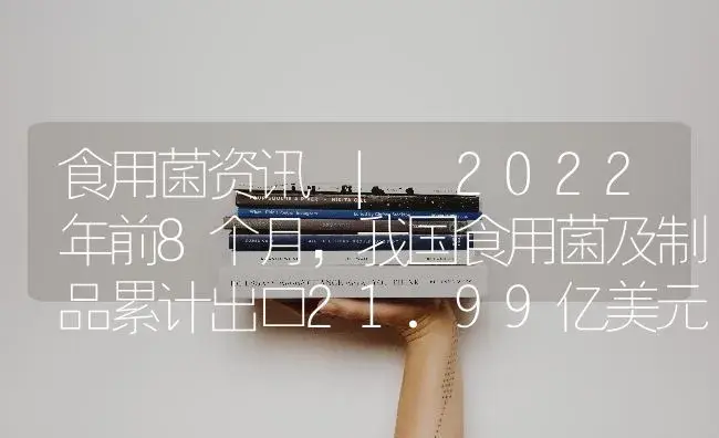 2022年前8个月，我国食用菌及制品累计出口21.99亿美元，同比增长39.26% | 菌菇种植