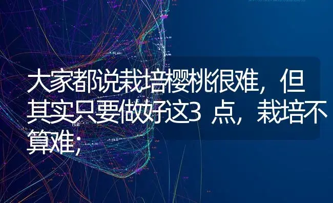 大家都说栽培樱桃很难，但其实只要做好这3点，栽培不算难； | 果木种植