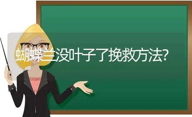 蝴蝶兰没叶子了挽救方法？ | 绿植常识