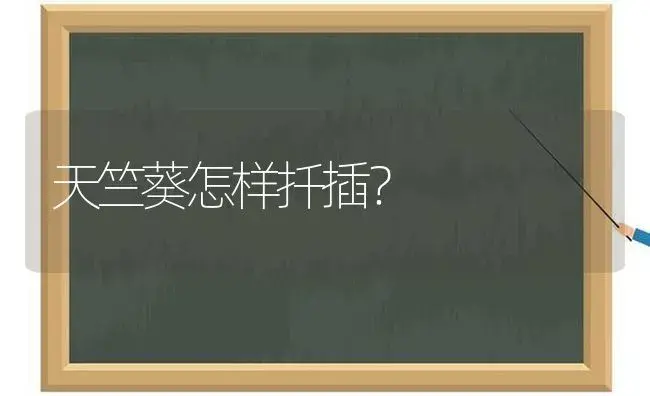 天竺葵怎样扦插？ | 绿植常识