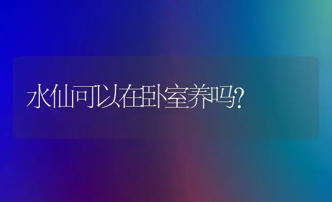 水仙可以在卧室养吗？ | 绿植常识