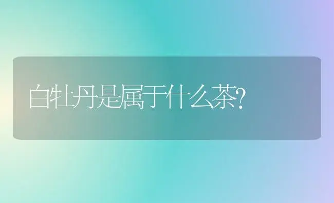 白牡丹是属于什么茶？ | 多肉养殖