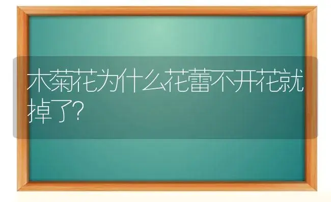 木菊花为什么花蕾不开花就掉了？ | 绿植常识