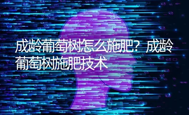 成龄葡萄树怎么施肥？成龄葡萄树施肥技术 | 果木种植