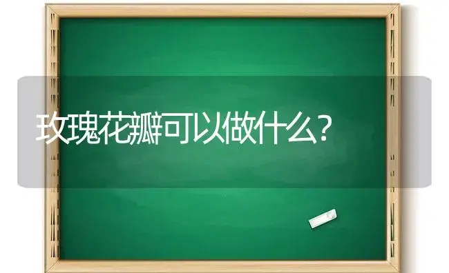 玫瑰花瓣可以做什么？ | 绿植常识