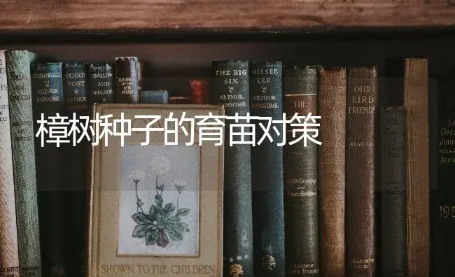 樟树种子的育苗对策 | 特种种植