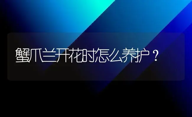 蟹爪兰开花时怎么养护？ | 多肉养殖