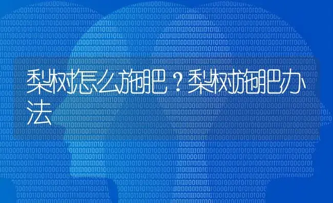 梨树怎么施肥？梨树施肥办法 | 果木种植