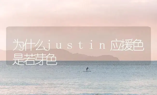 为什么justin应援色是若芽色 | 多肉养殖