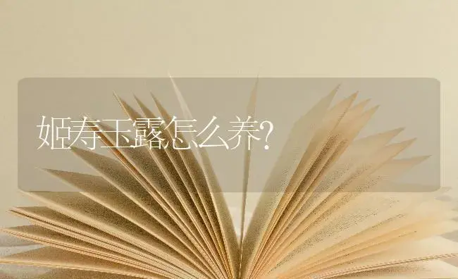 姬寿玉露怎么养？ | 多肉养殖