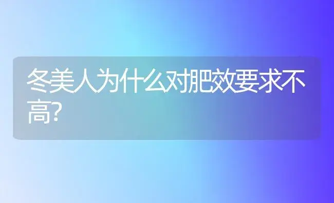 冬美人为什么对肥效要求不高？ | 多肉养殖