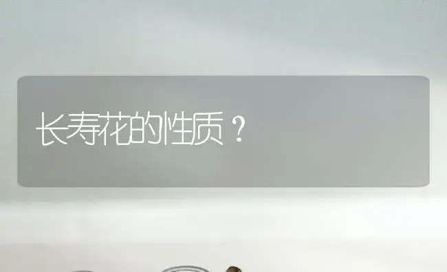 蟹月仙爪月兰最佳砧木？ | 多肉养殖