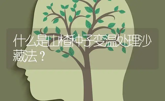 什么是山楂种子变温处理沙藏法？ | 特种种植