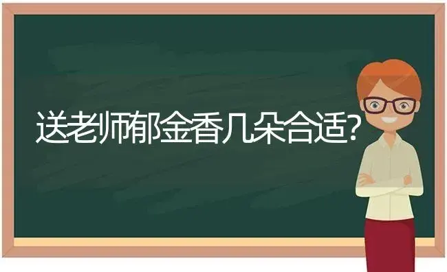 送老师郁金香几朵合适？ | 绿植常识