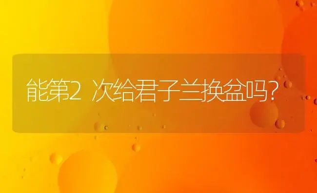 能第2次给君子兰换盆吗？ | 绿植常识