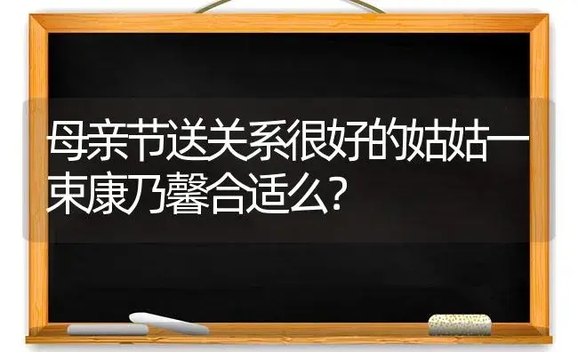 母亲节送关系很好的姑姑一束康乃馨合适么？ | 绿植常识